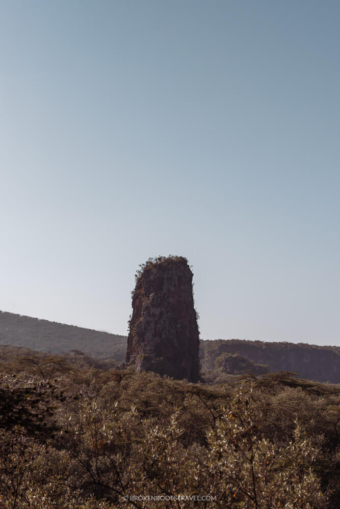Tall rock structure coming out of a green forest