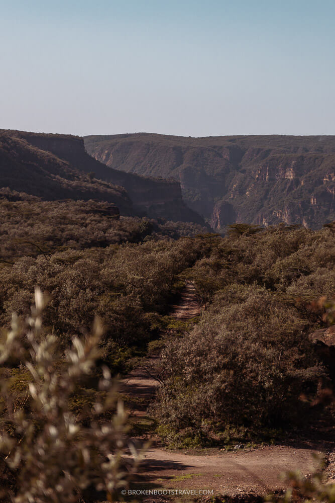 Overlooking a large gorge with green trees all around it