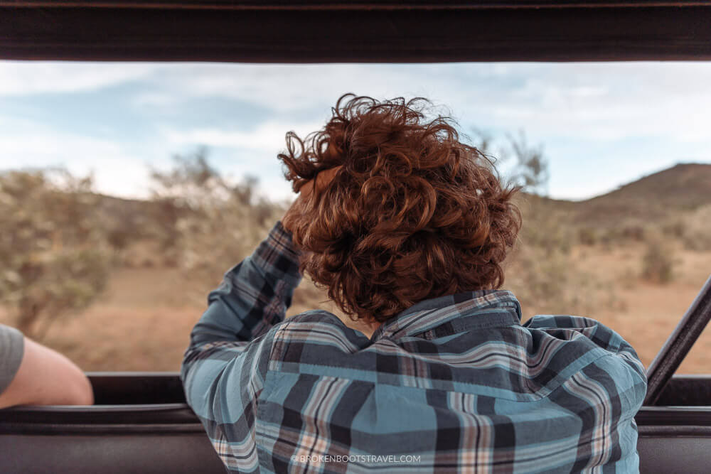 man in a blue shirt with curly brown hair overlooking the savanah