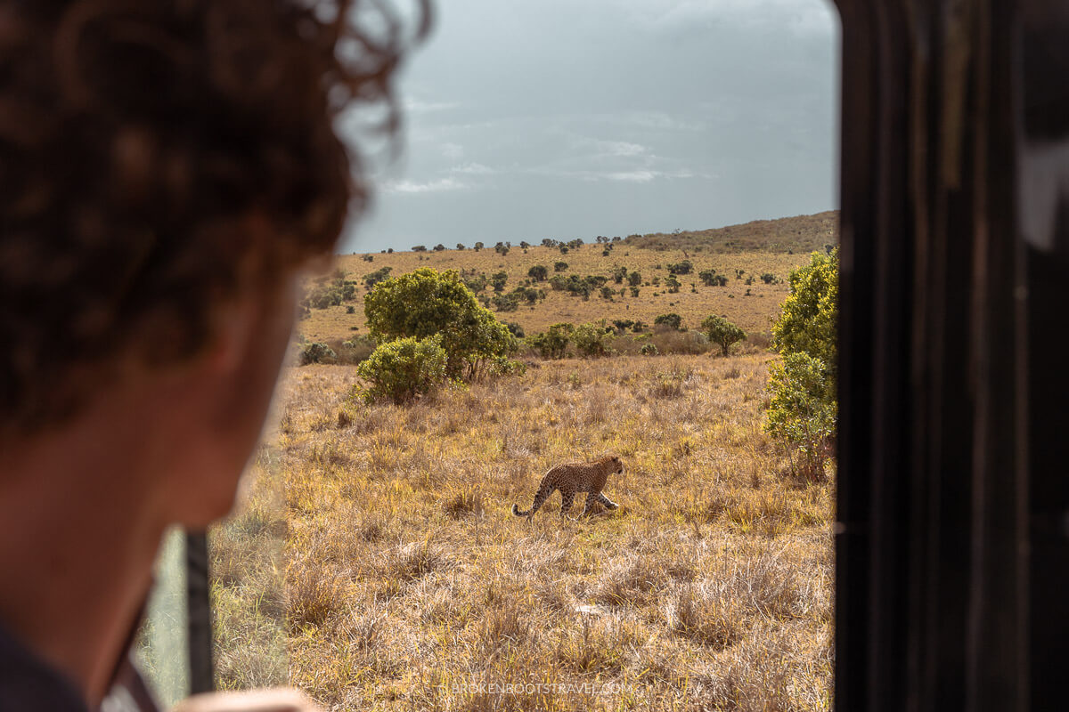 Facing the Most Dangerous Predator in the Kenyan Savanna