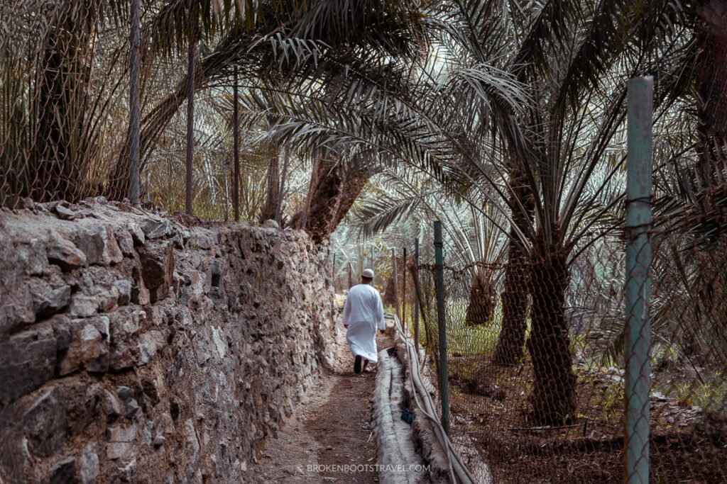 A man walking through a farm in Wadi Shees