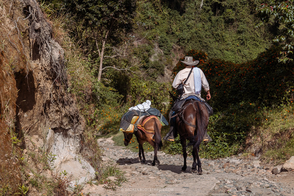 A man in a cowboy hat rides a horse down a dirt road in the mountains