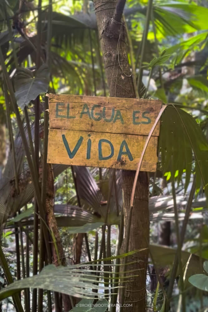 Wooden sign on a tree in Minca, Colombia