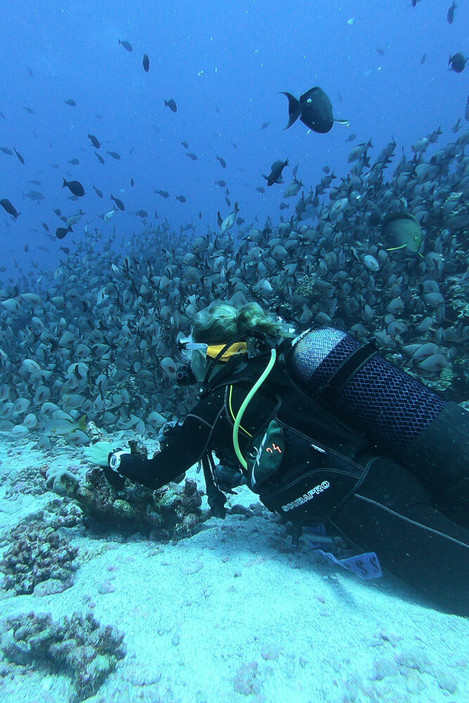 Scuba diving in the Rosario Islands Cartagena Colombian Coast