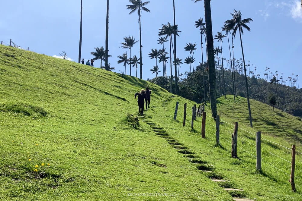 Hiking in the Valle de Cocora Salento Colombia