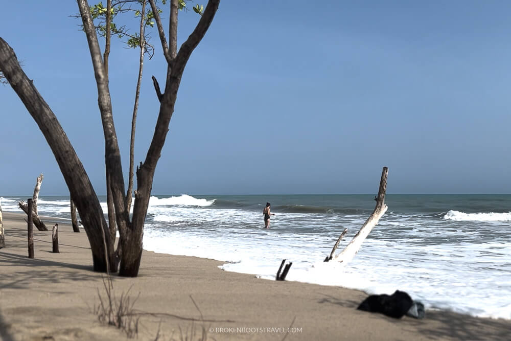 Beach with trees and girl swimming Palomino, Colombia 