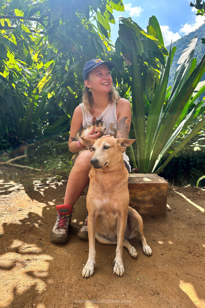 Girl in white shirt and blue hat with a cat and dog