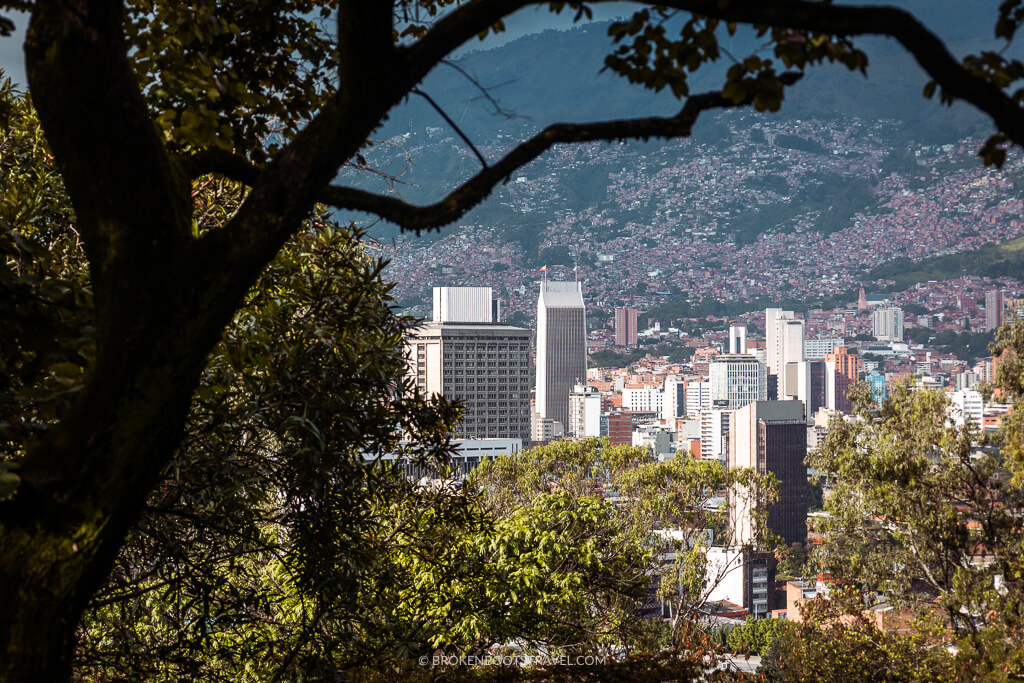 Skyline of Medellin, Colombia with trees in the foreground