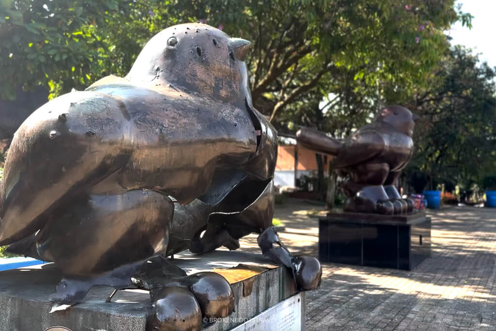 Birds of Peace, Parque San Antonio Medellin