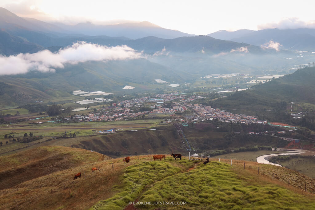 Skyline of town of Urrao, Antioquia with cows on a hill in the foreground