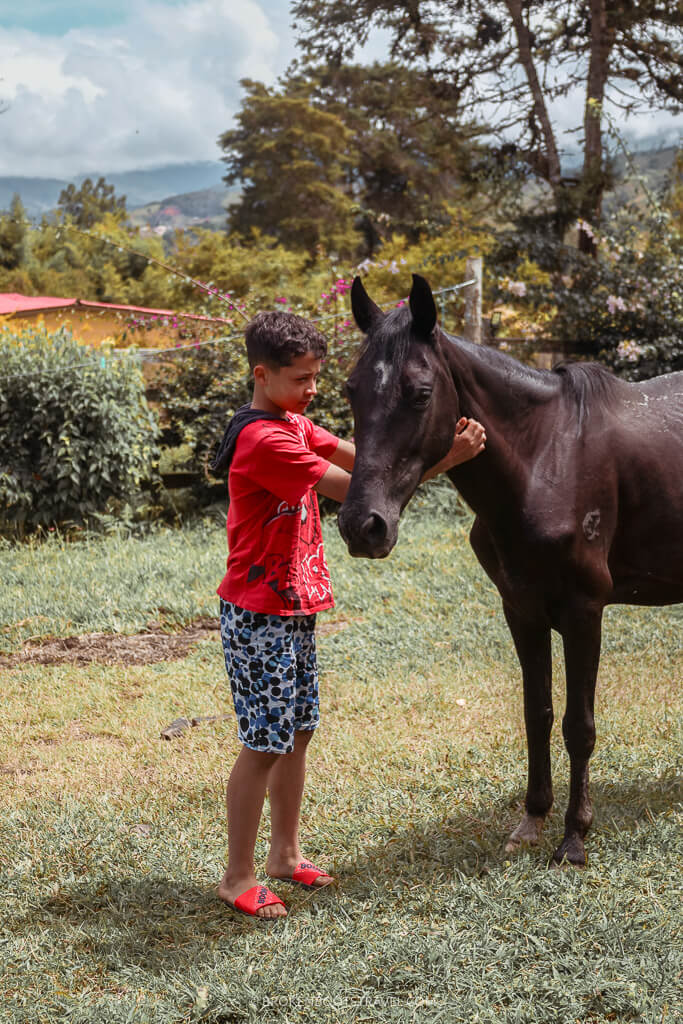 Boy in red shirt strokes a brown horse