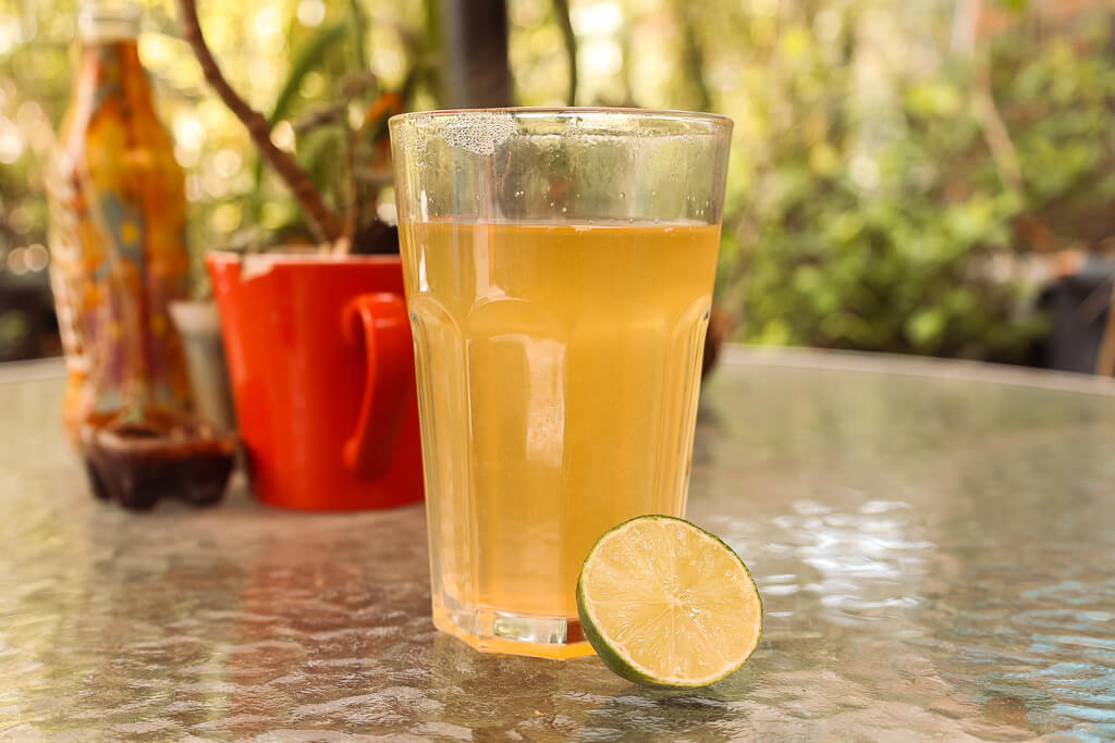 Aguapanela with a lime with greenery in the background