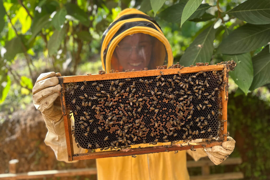 Girl in beekeeping suit holding up a panel of a beehive
