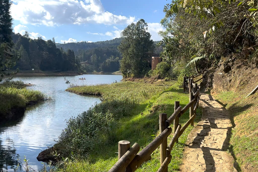 Trail beside a lake in Parque Arvi, Medellín Day Trip