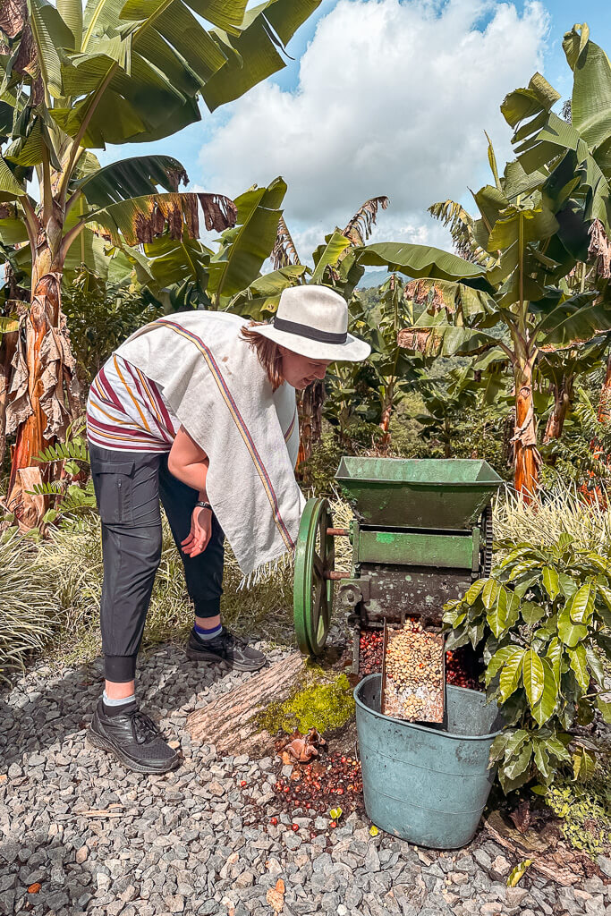 Girl grinding coffee beans in traditional coffee farmer outfit