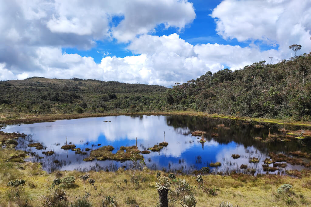 Alpine lake and frailejones at Páramo del Belmira