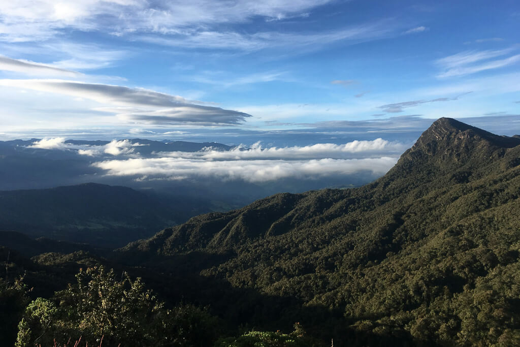 Chingaza National Park